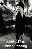 Stevie Nicks